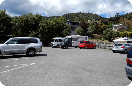 Car poppies and badges